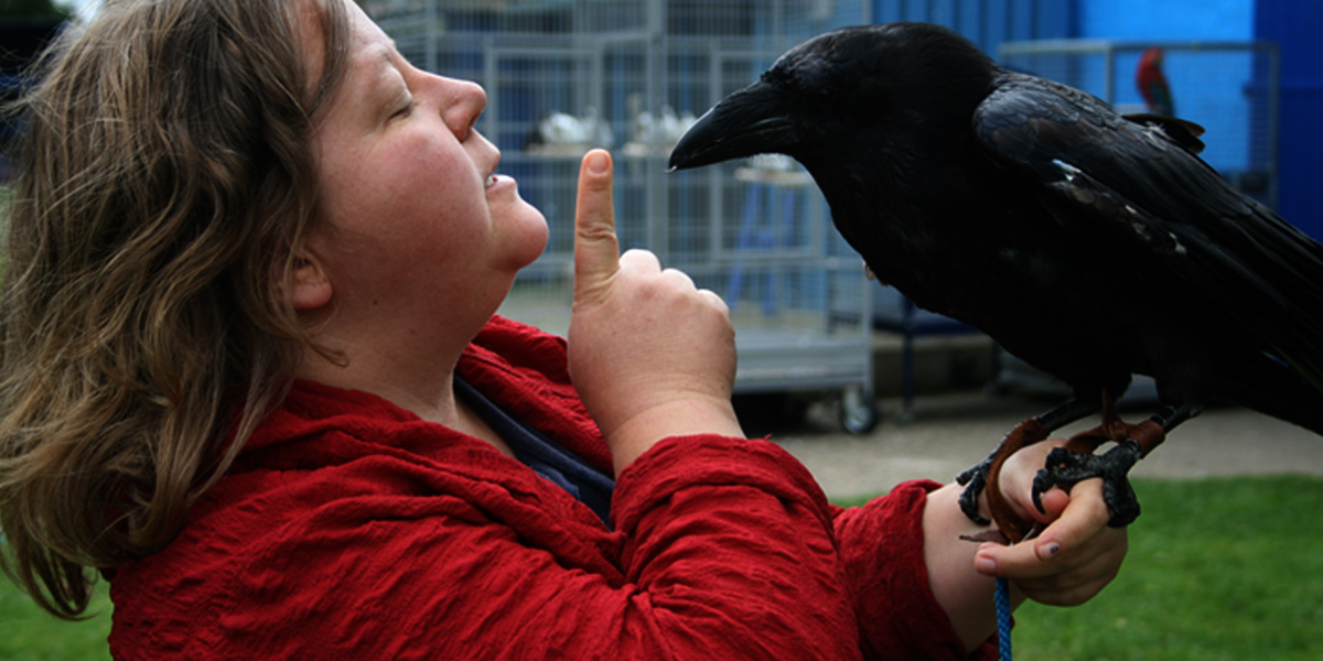 Tierische Schauspieler