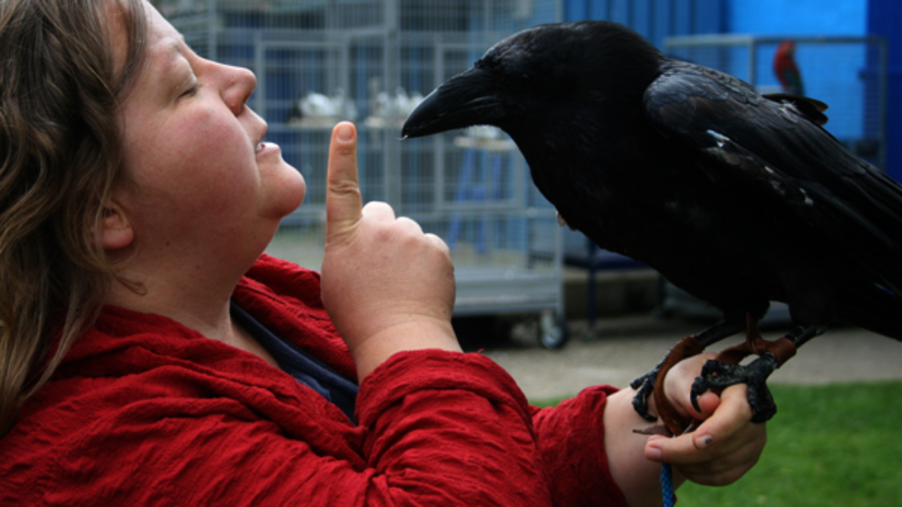 Tierische Schauspieler