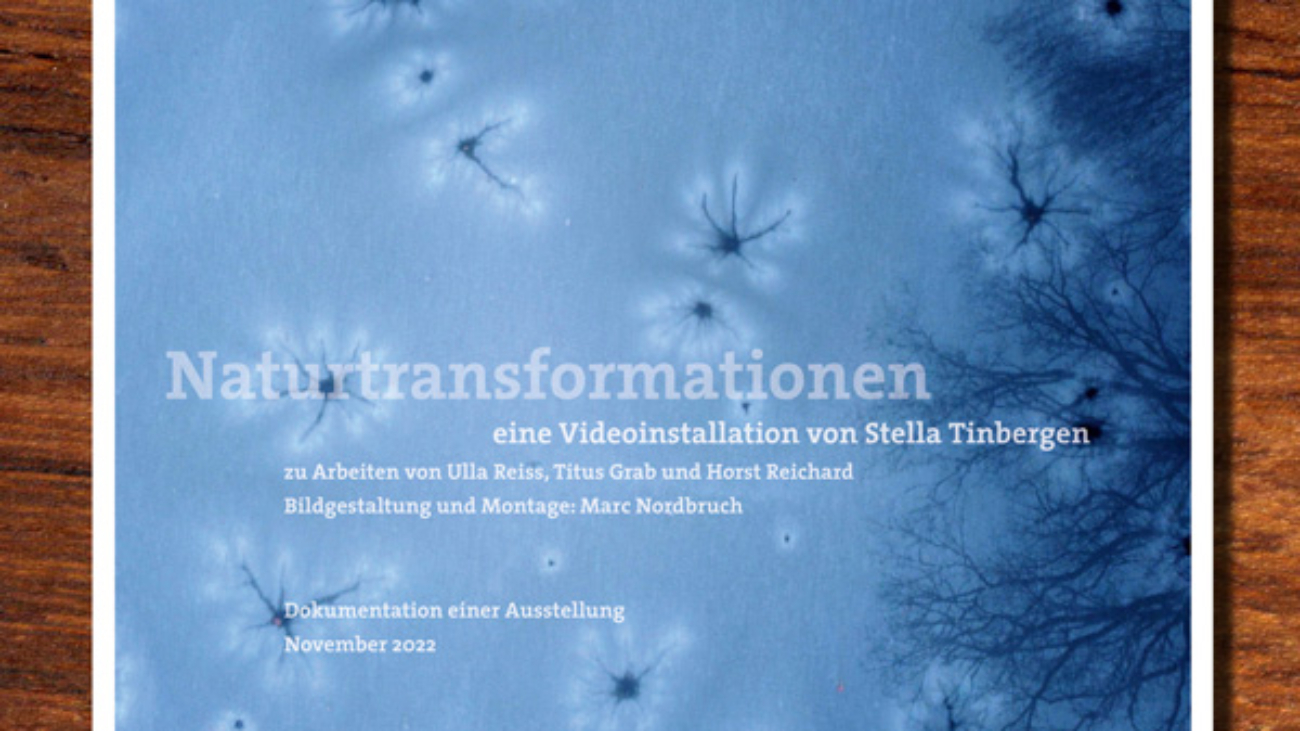 Beitrag-Naturtransformatoin