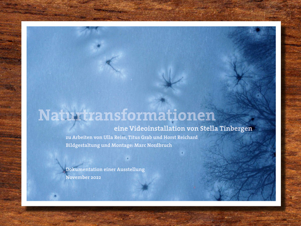 Beitrag-Naturtransformatoin